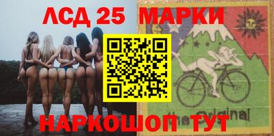 спиды Кингисепп
