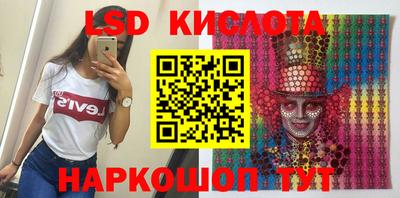 спиды Кингисепп