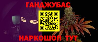 спиды Кингисепп