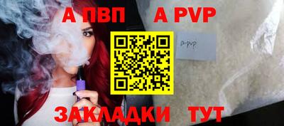 спиды Кингисепп