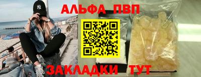 спиды Кингисепп