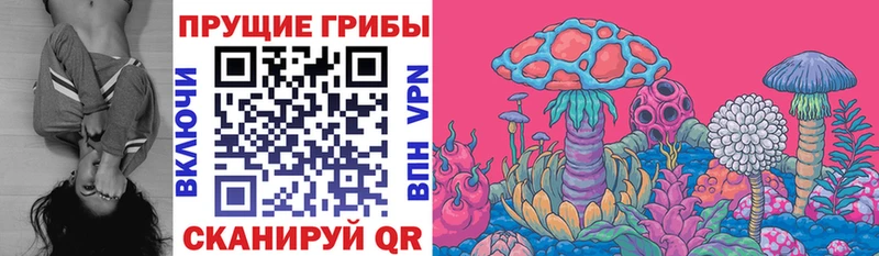 Галлюциногенные грибы прущие грибы  Междуреченск 
